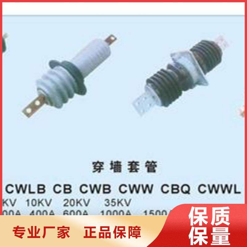 CWWB-40.5/2000A陶瓷套管