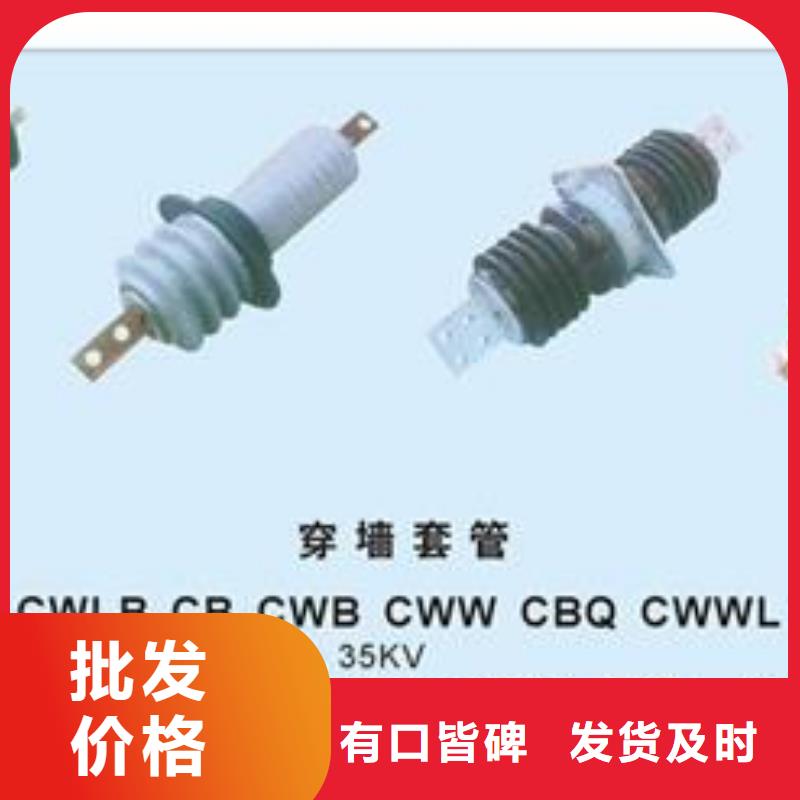 CWWB-20/4000A-4陶瓷穿墙套管