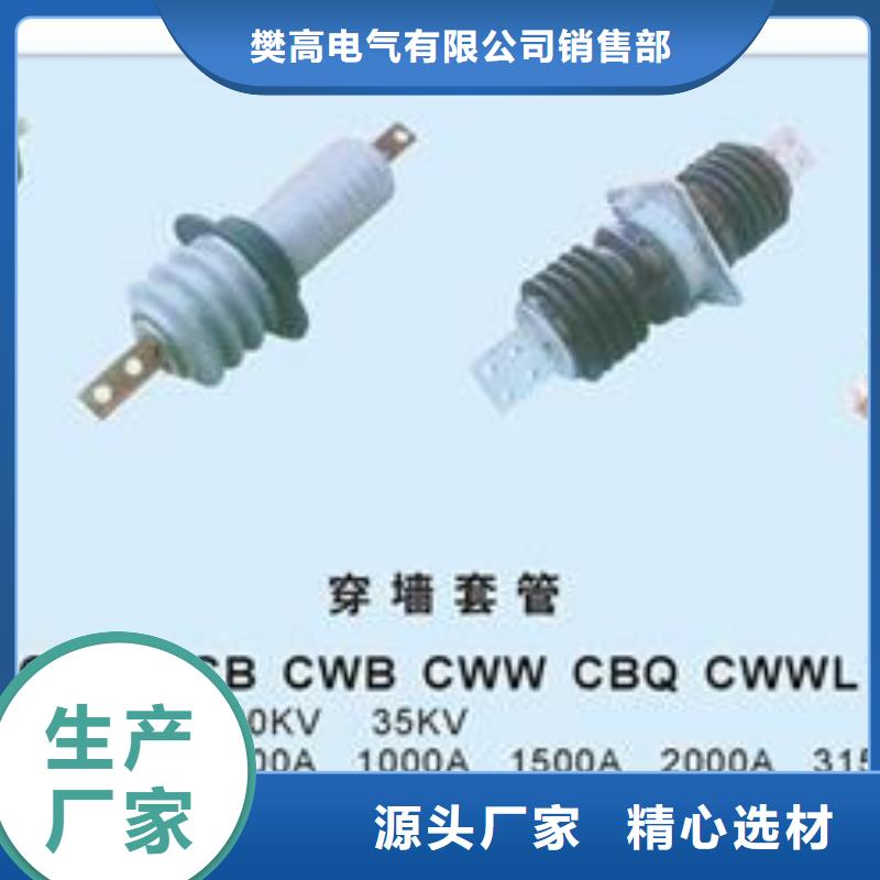 CWWL-35/630A高压穿墙套管