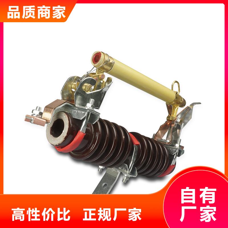 樊高熔断器【真空断路器】工艺成熟-氧化锌避雷器