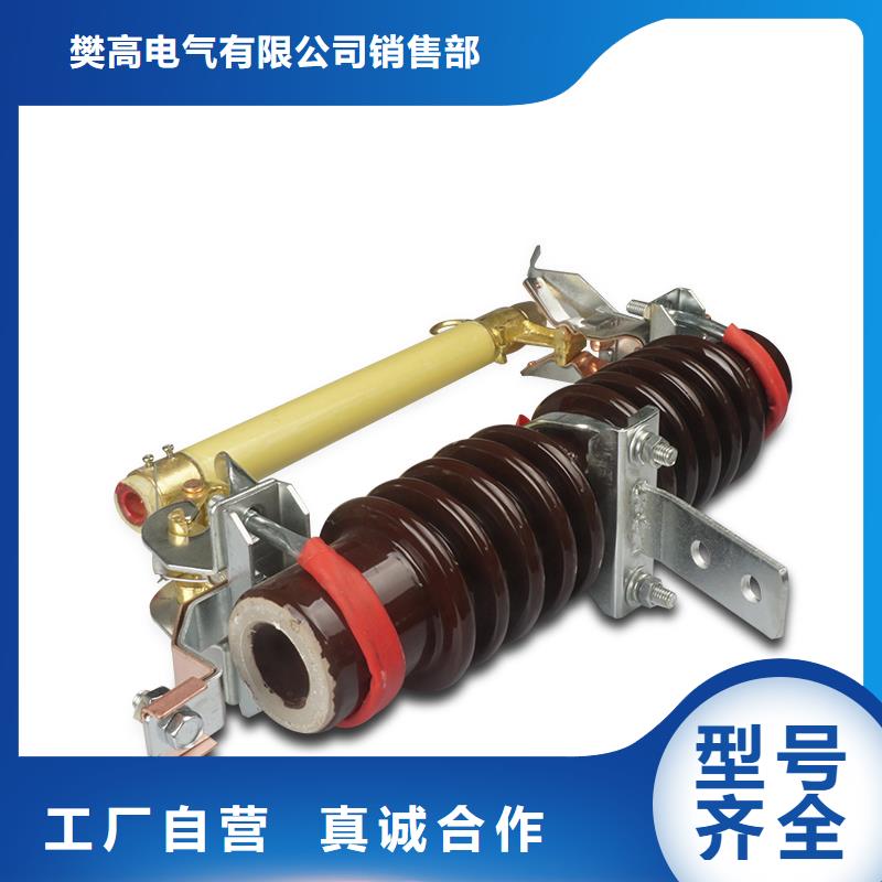RXWO-40.5/0.2A限流熔断器厂家