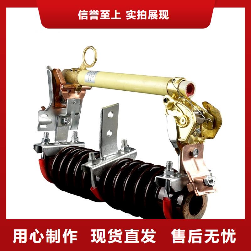 樊高氧化锌避雷器【熔断器】真空断路器用好材做好产品企业旺旺