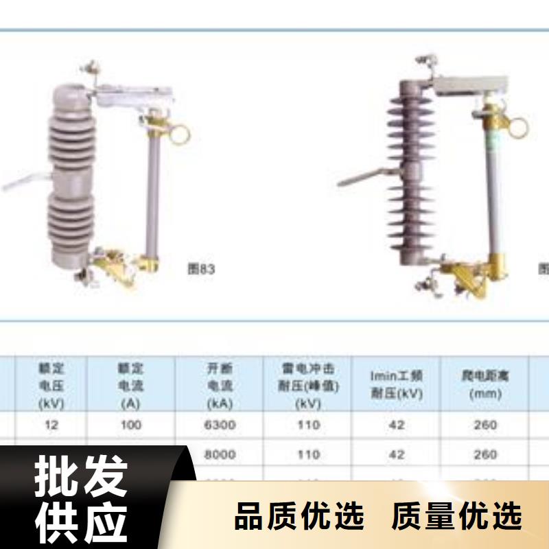 XRNP1-10/1A开关柜PT管