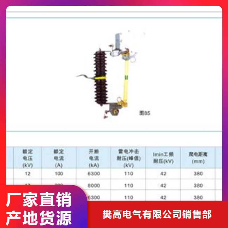 PD4-12/100A出口型跌落式熔断器