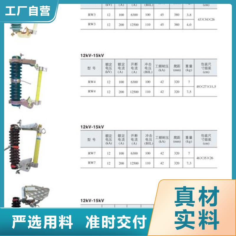 HPRW12-27/100高压跌落保险