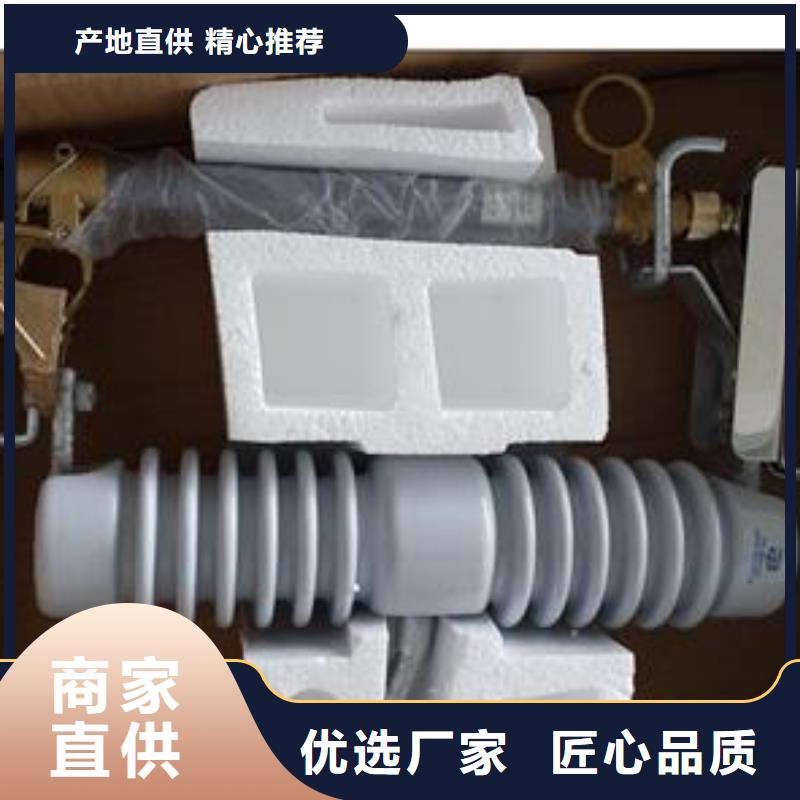 XS-11/100A出口型跌落式熔断器