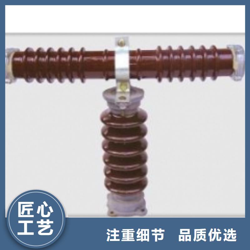 XRNT1-12/100A高压限流熔断器