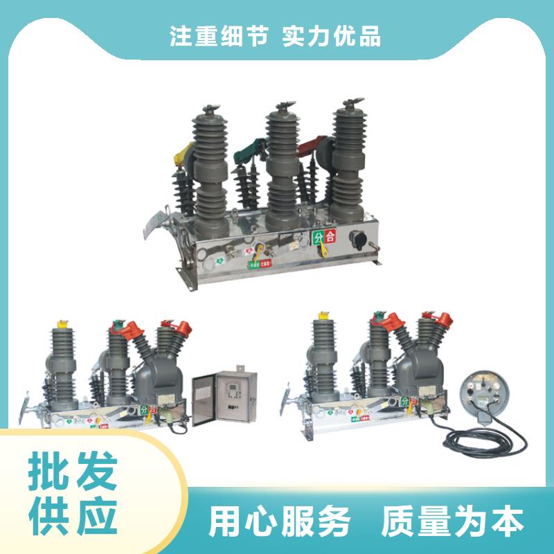 ZW37A-40.5/1250-25帶看門狗真空斷路器樊高