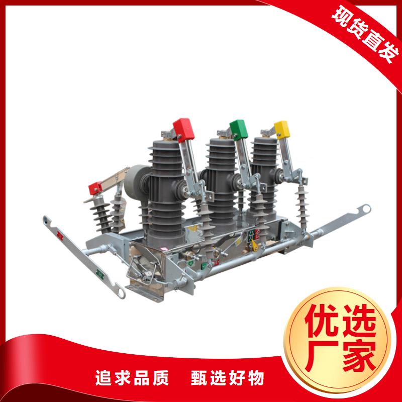 望江|大观|巢湖|淮南|六安|芜湖|合肥真空断路器,【氧化锌避雷器】拒绝伪劣产品-樊高电气销售部(安庆市分公司)