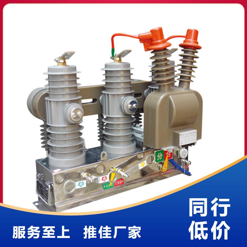 ZW43A-12G/T630-20户外高压真空断路器