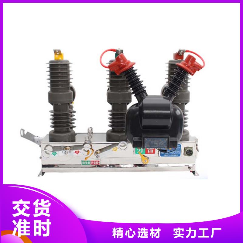 ZW32P-12/T630-20户外预付费计量式真空断路器