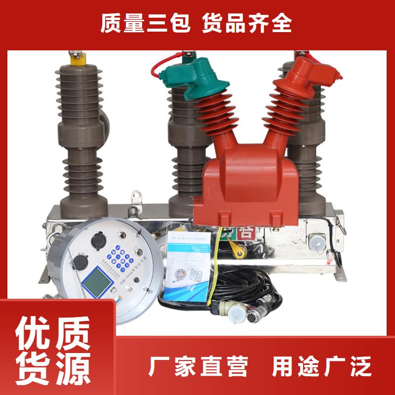 LW38-126/3150-31.5六氟化硫断路器