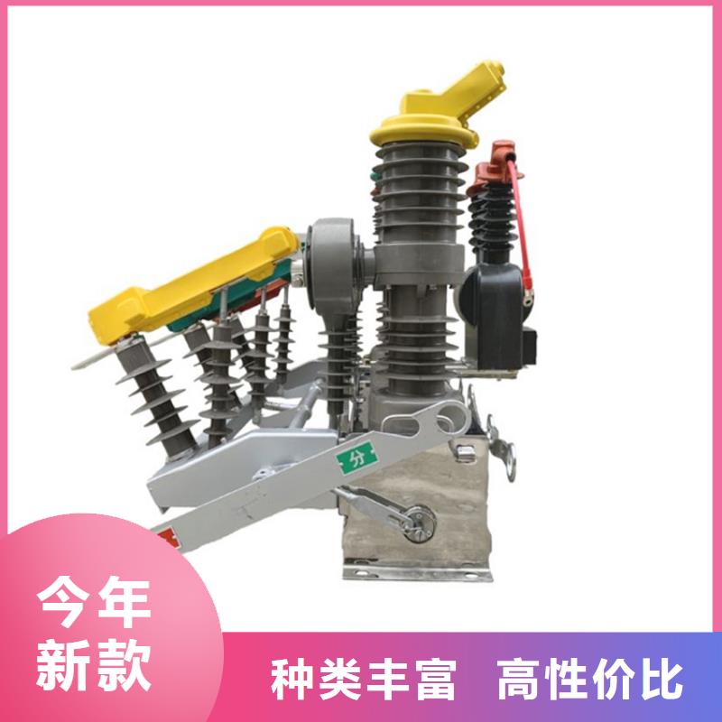 ZN63A-12/1000-20戶內真空斷路器