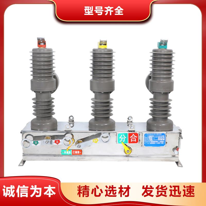 户外真空断路器ZW8-12F/630A质量保证