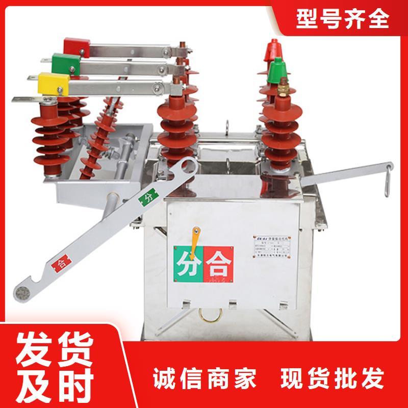 ZW8-12F/T630-20户外真空断路器