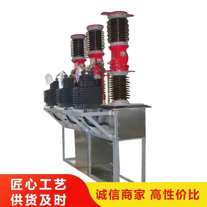 盐边|米易|绵阳|广元|阿坝|雅安|南充|自贡真空断路器用心制作公司