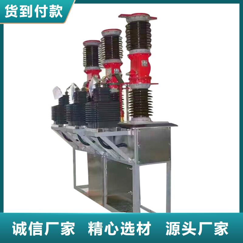 ZW20-12G/T1250-31.5真空断路器