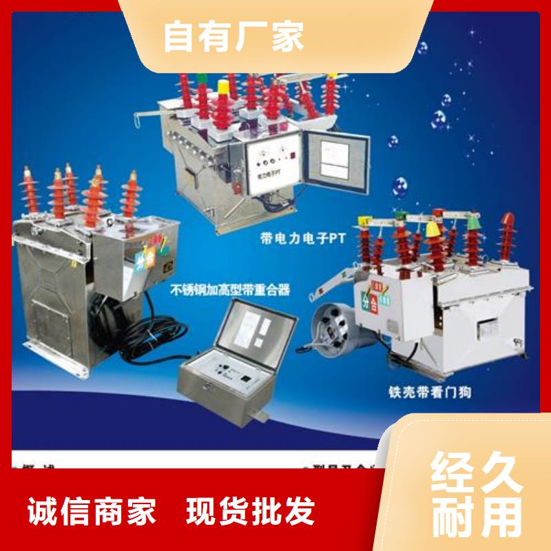 LW38-40.5/3150-31.5六氟化硫断路器