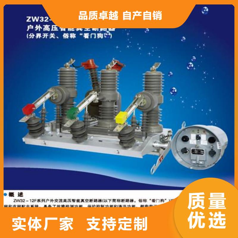 ZN28-12T/1250-31.5连体式系列户内真空断路器文昌市