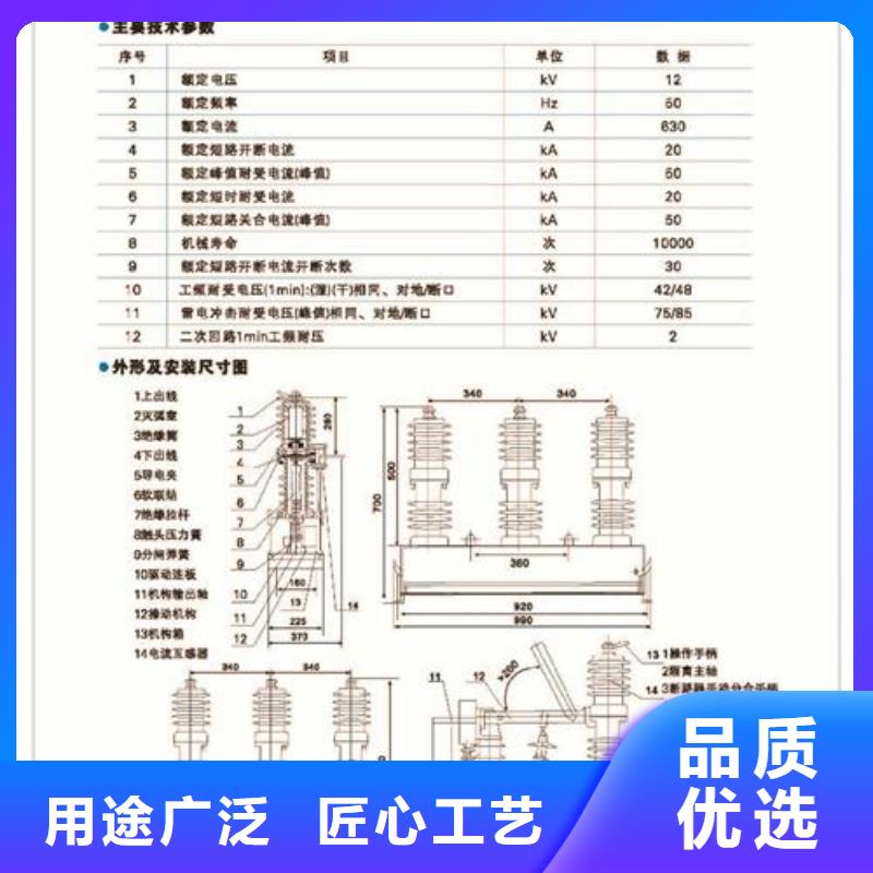 ZW43-12/T630-20戶外柱上真空斷路器