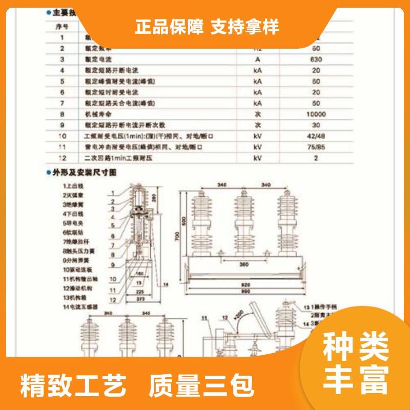 SW2-72.5/1250-31.5六氟化硫断路器