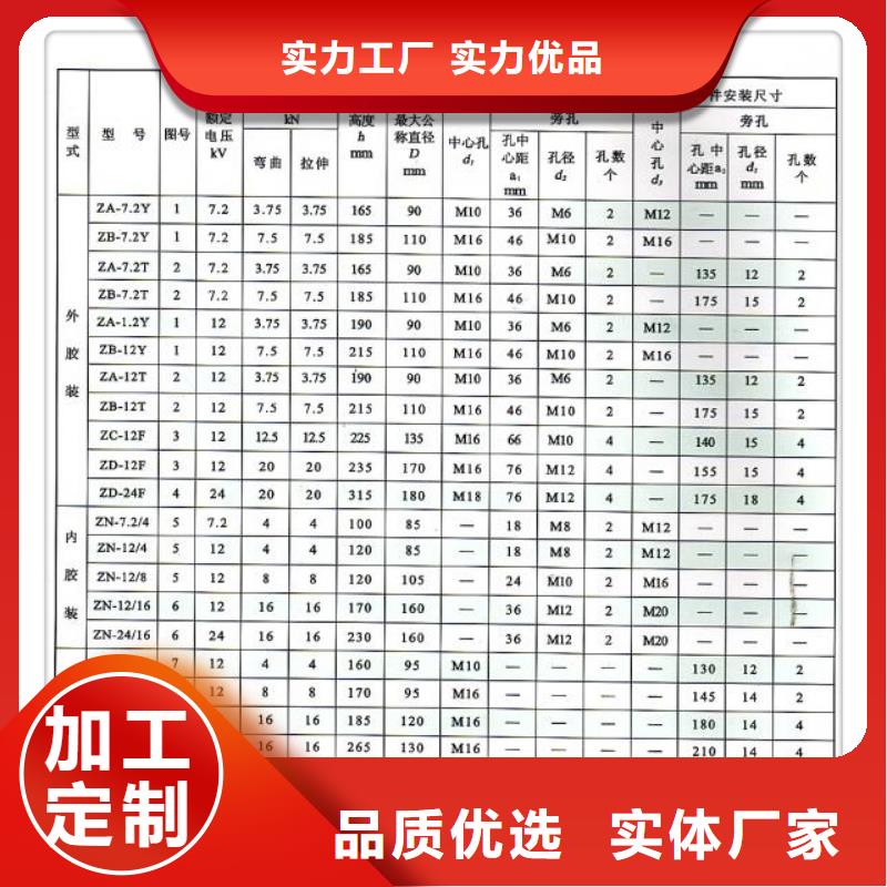 ZJ-35Q130*320高压绝缘子