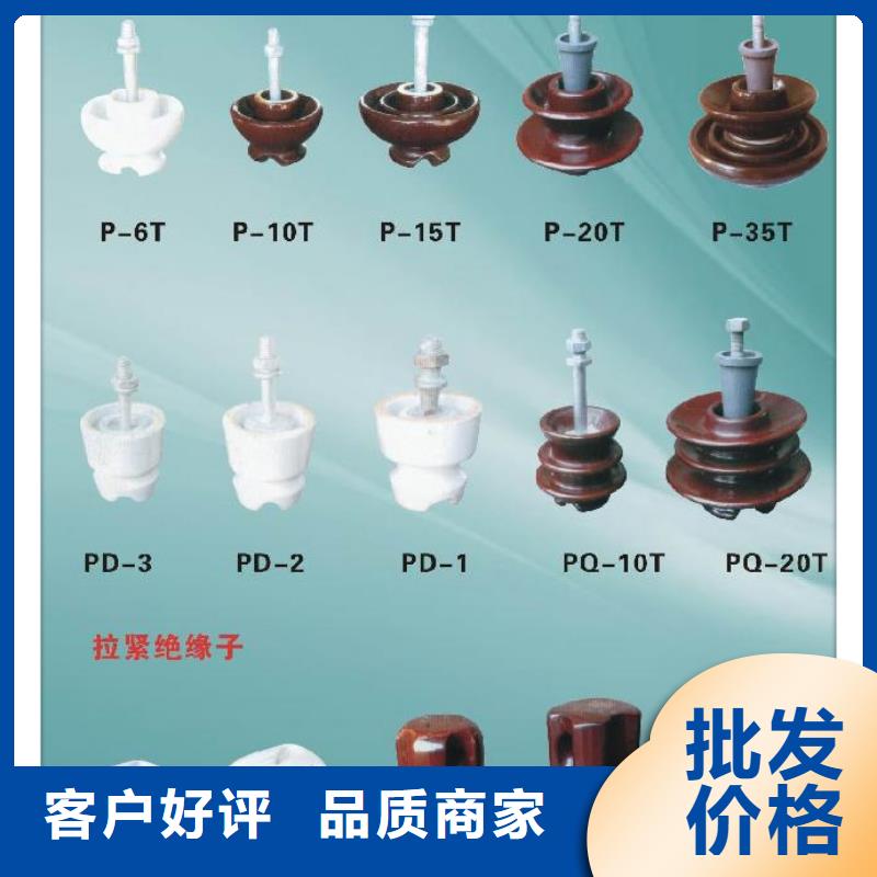 FZSW-110/16高压复合支柱绝缘子