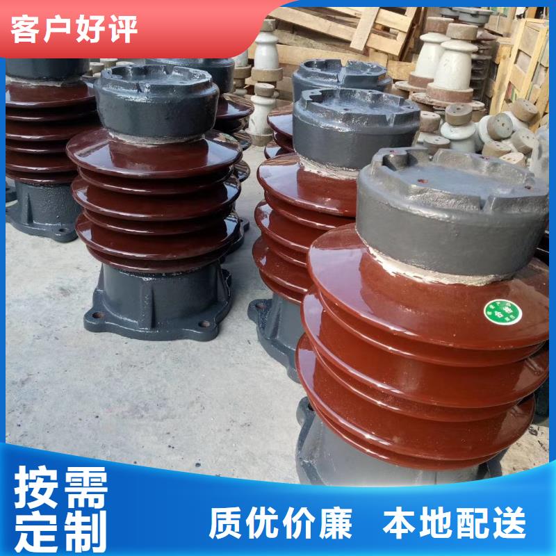 樊高【绝缘子】-穿墙套管多年行业经验-氧化锌避雷器