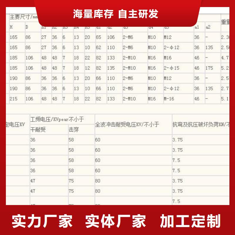 ZSW-20/3000陶瓷絕緣子