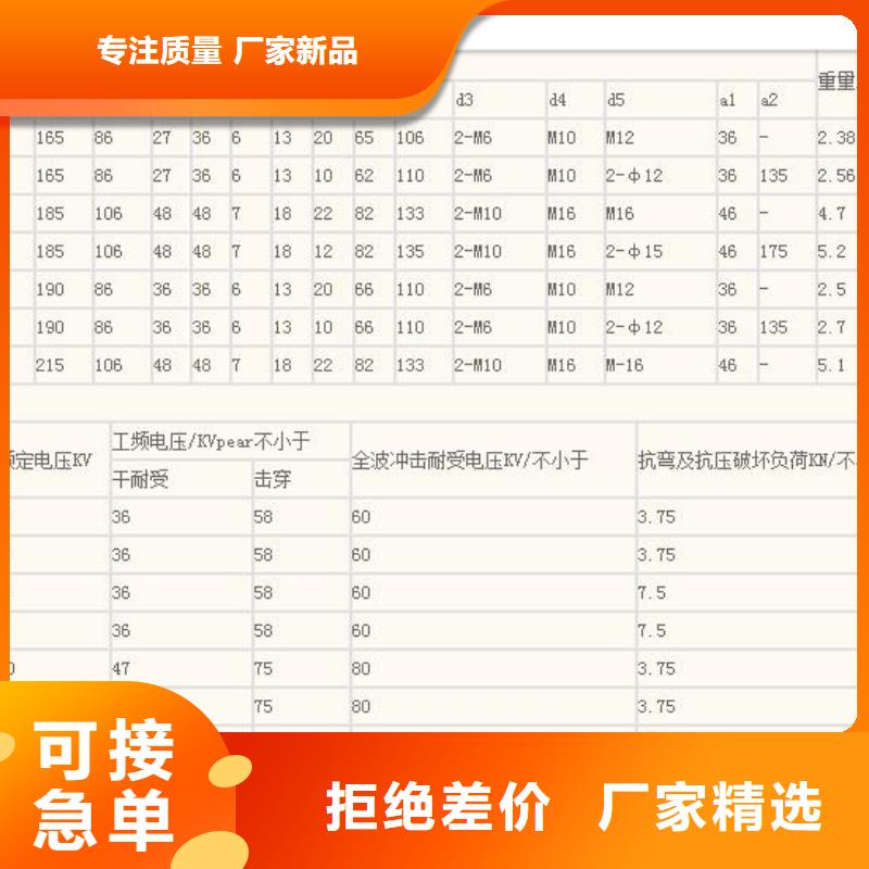 ZJ-35Q/120*320环氧树脂绝缘子