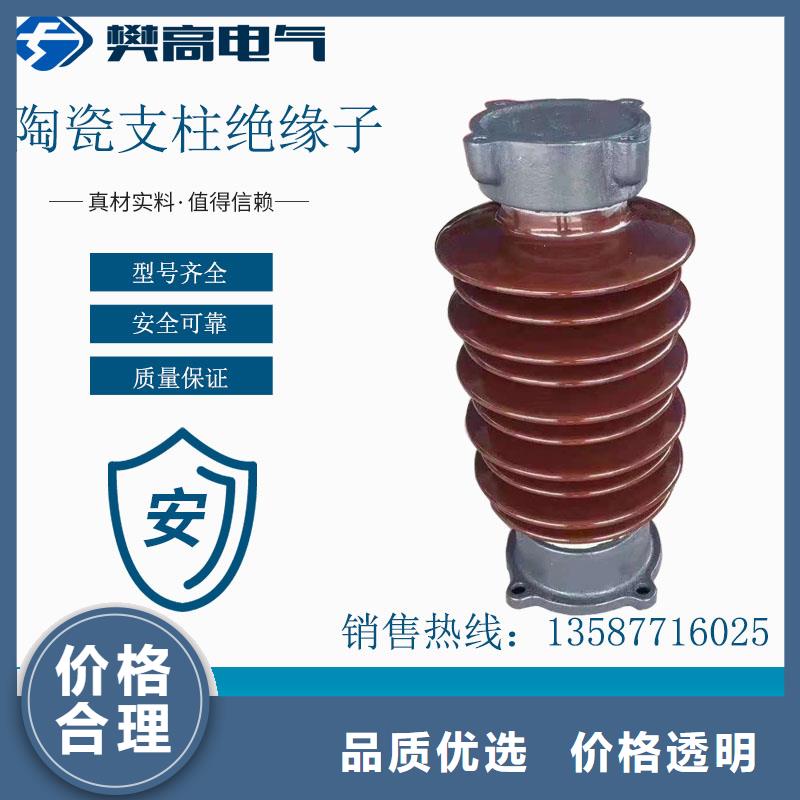 ZSW2-20/20高压陶瓷绝缘子