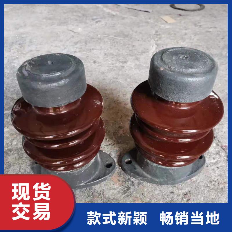 绝缘子用心制造樊高氧化锌避雷器