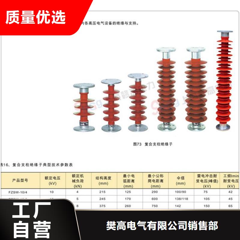 ZS-24/8陶瓷绝缘子临高县