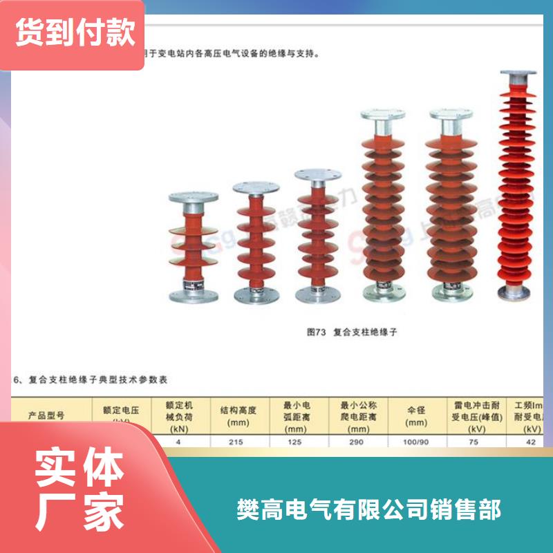 氧化锌避雷器樊高【 绝缘子 电缆附件好产品有口碑】