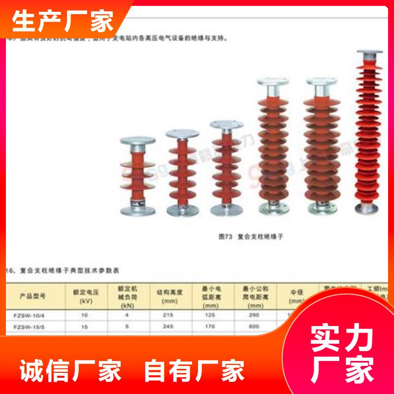 氧化锌避雷器樊高绝缘子【限流熔断器】海量库存