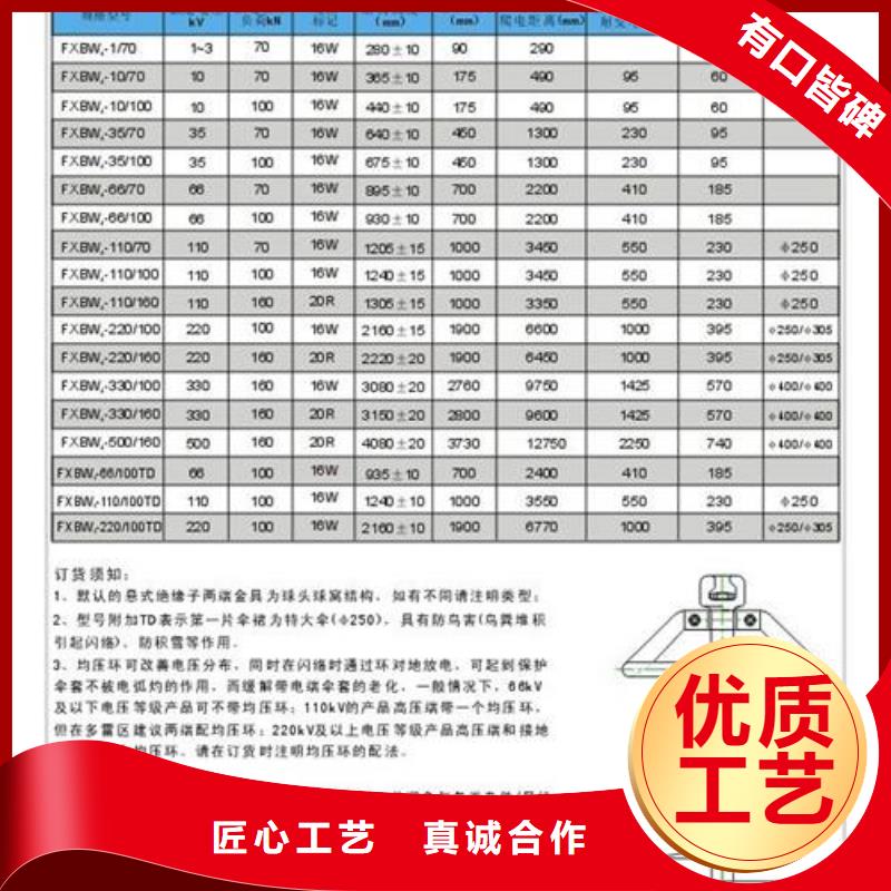 FZS-24/8-1绝缘子樊高