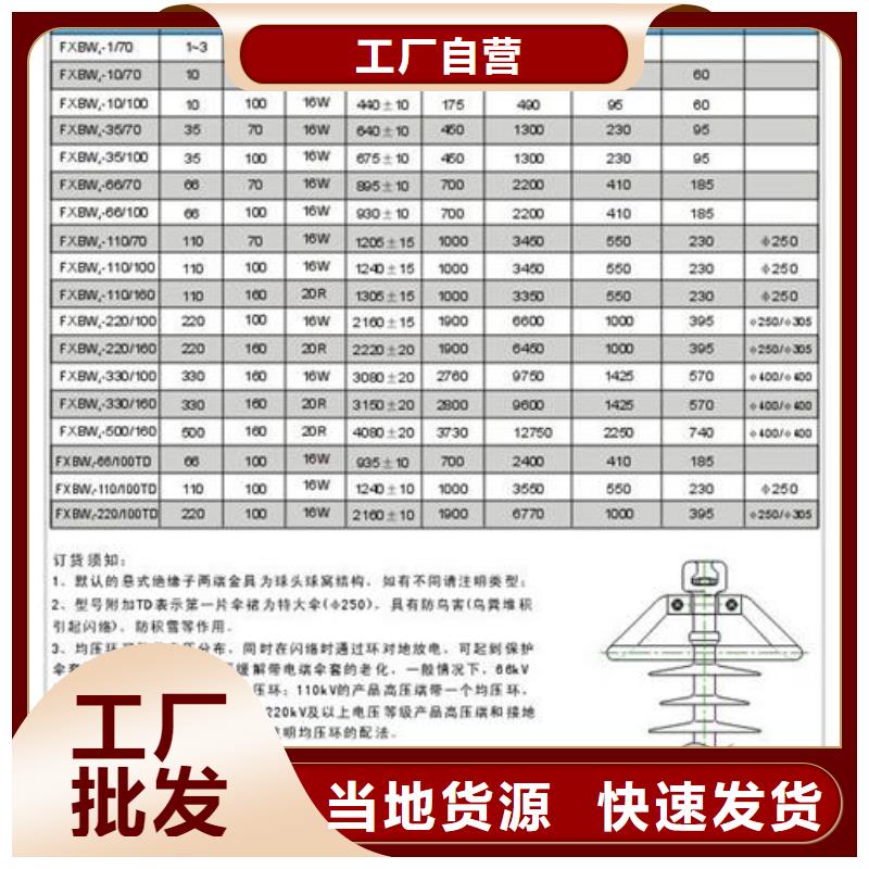 ZS-20/1600绝缘子樊高电气