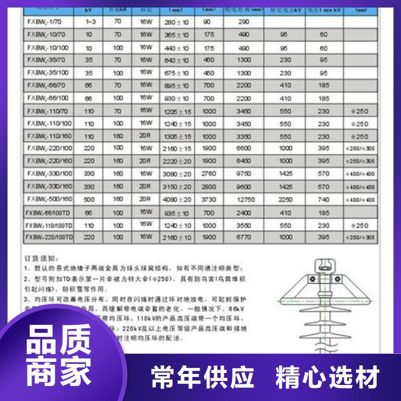 XWP2-70高压支柱绝缘子