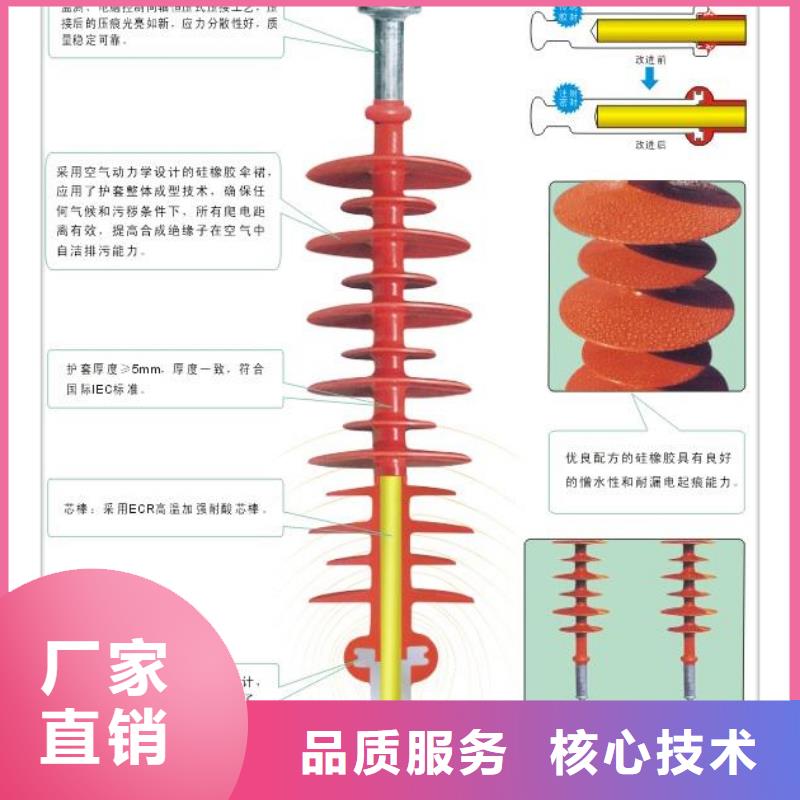ZS-20/400支柱绝缘子
