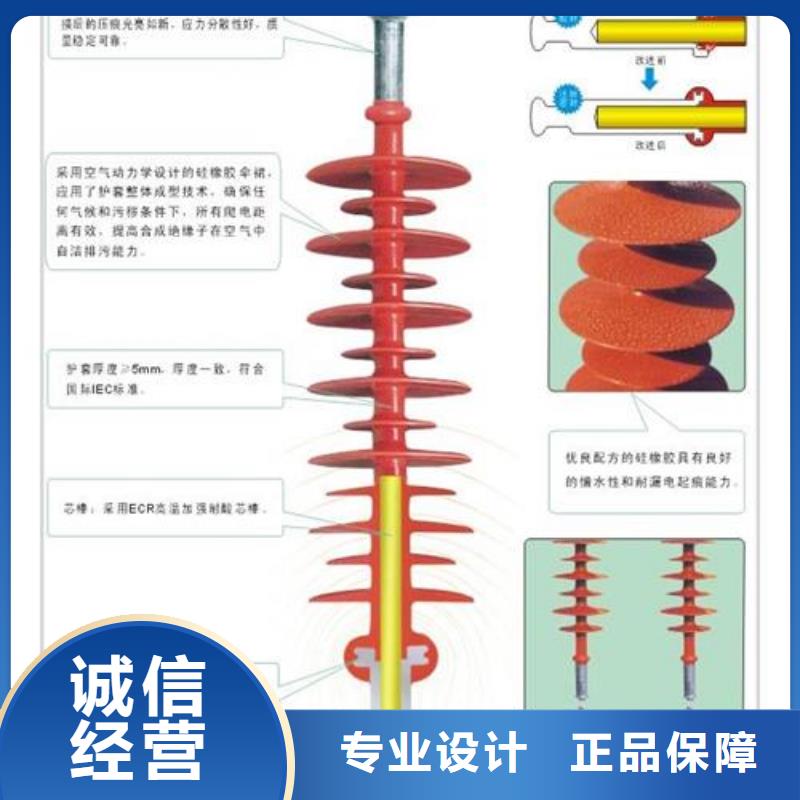 FZS-12/8高压复合绝缘子