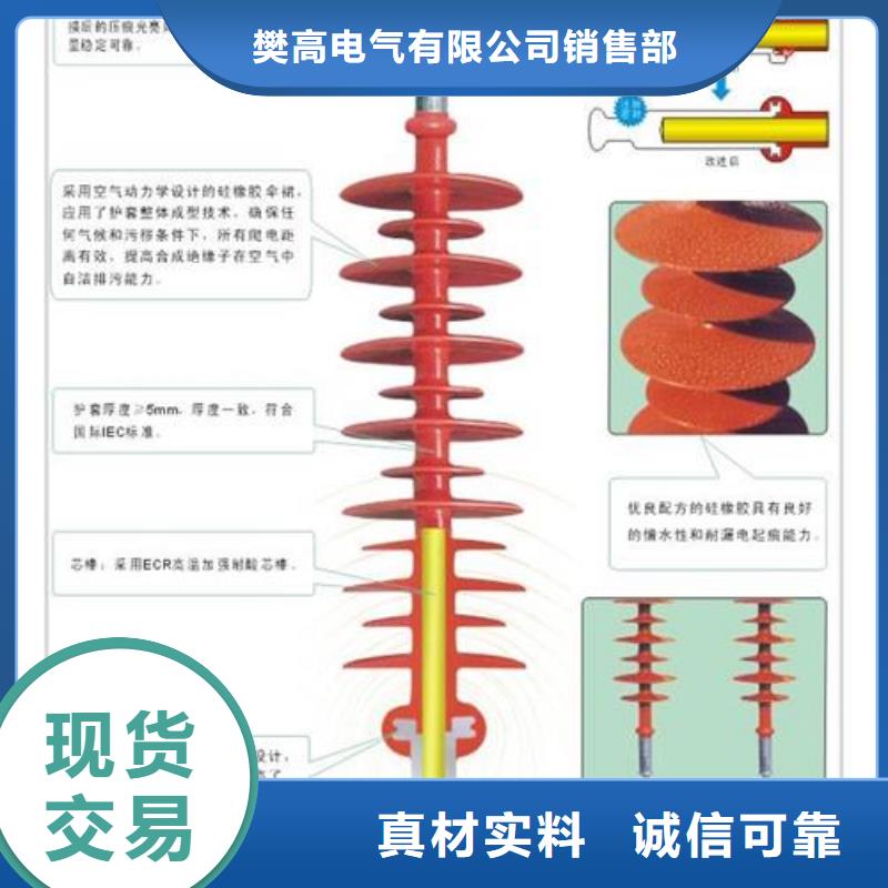 ZSW-10/1000户外支柱绝缘子