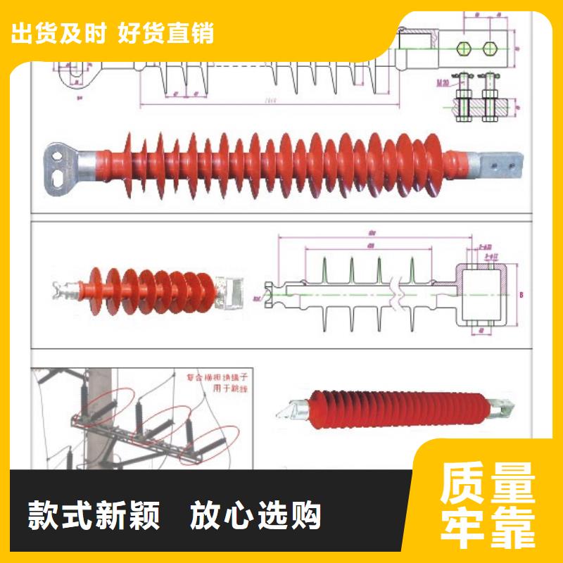 FXBW1-220/160硅胶棒型绝缘子