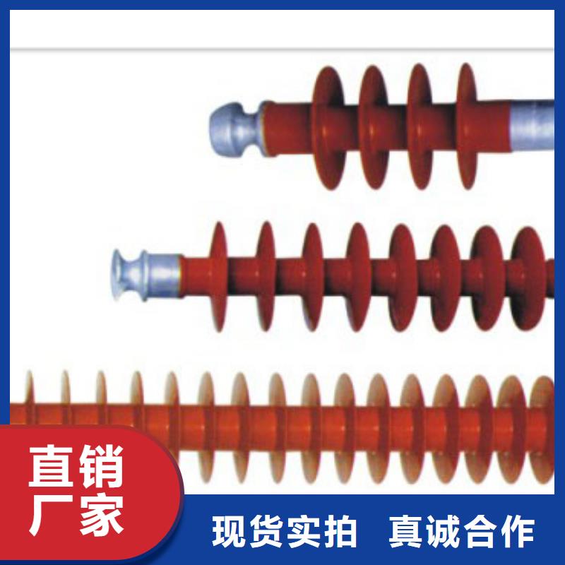 ZSW-110/10绝缘子