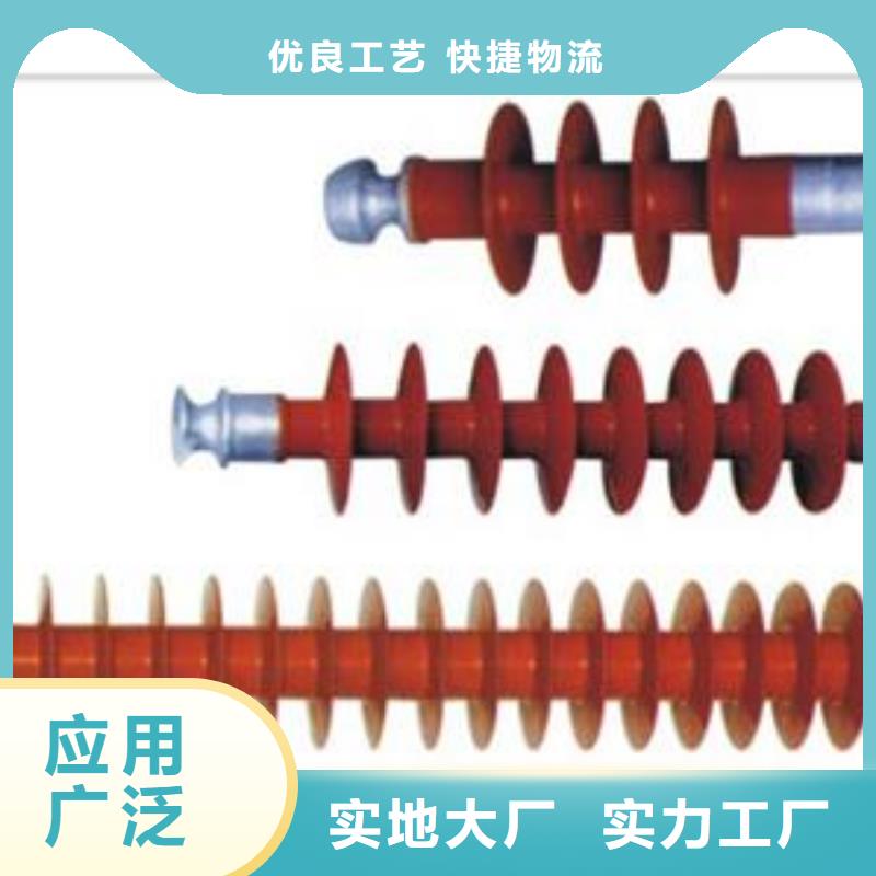 FZSW4-72.5/12.5复合高压绝缘子