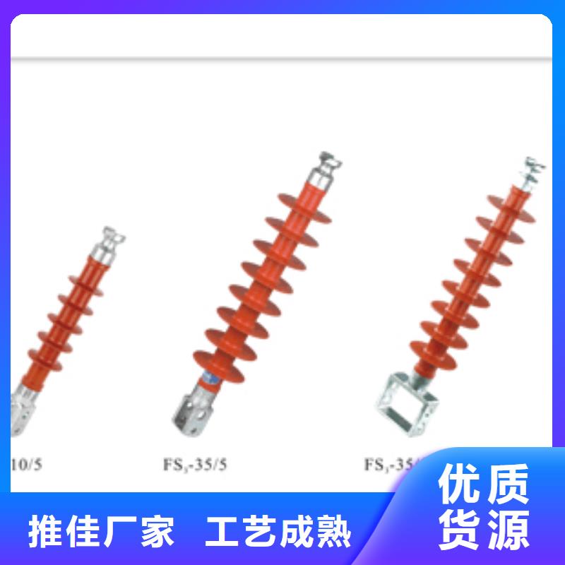 FXBW-10/100棒型绝缘子