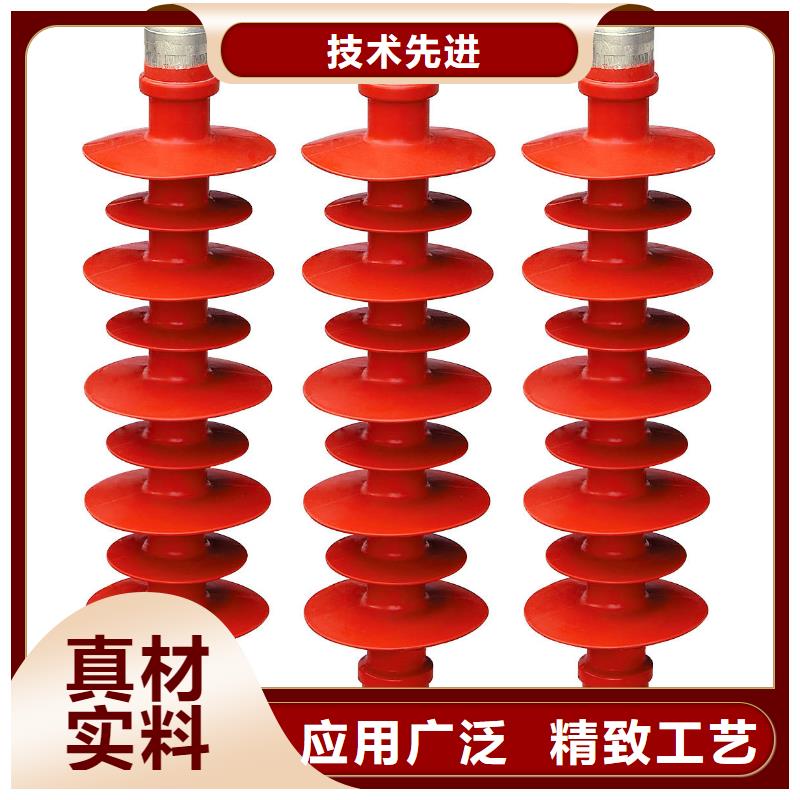 FZSW4-66/5L复合绝缘子