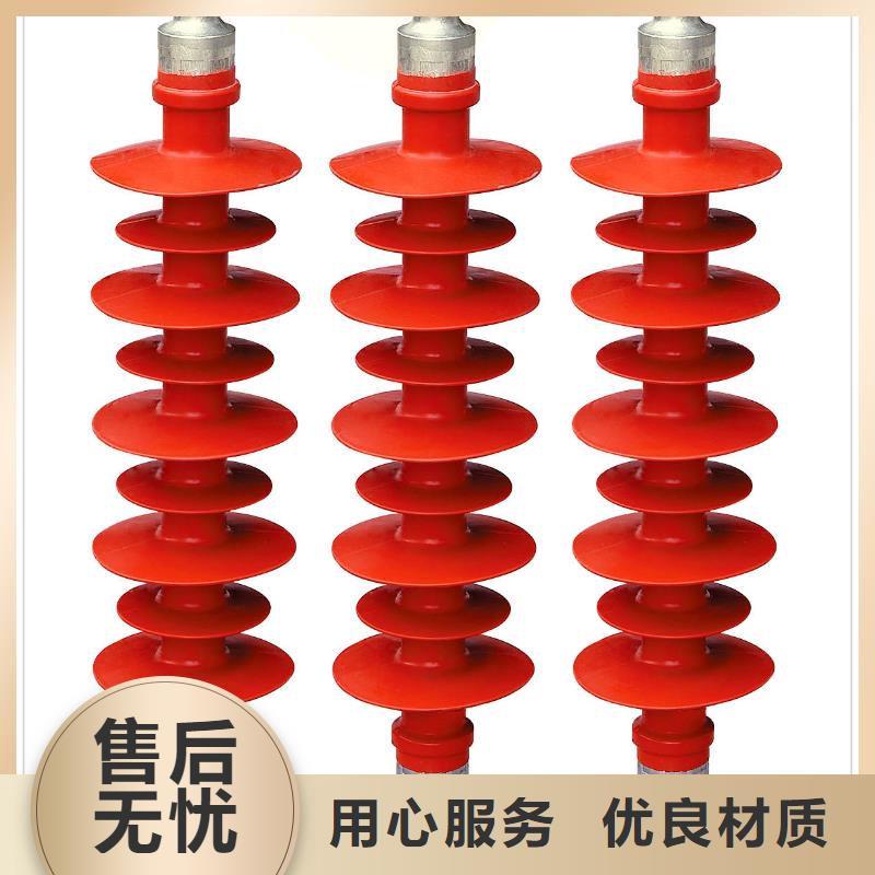 ZSW-20/30户外支柱绝缘子