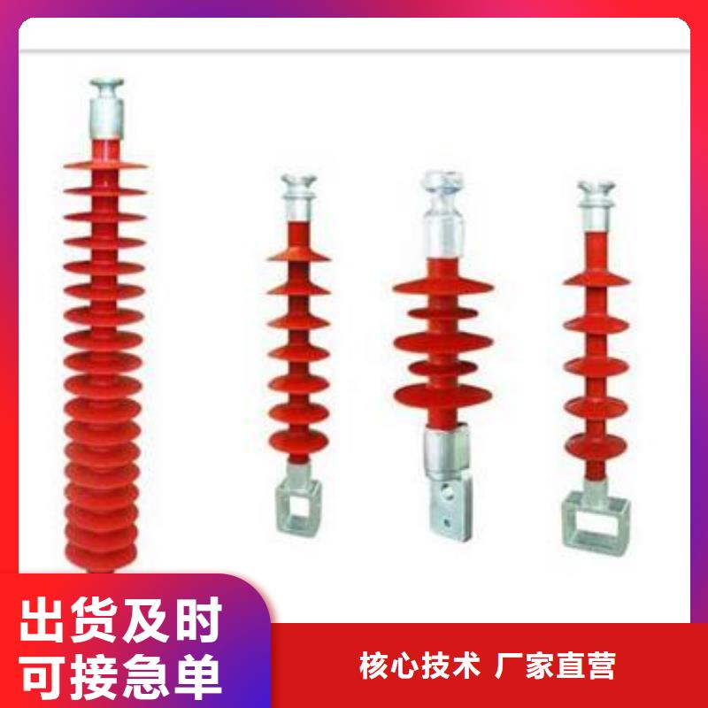 绝缘子用心制造樊高氧化锌避雷器