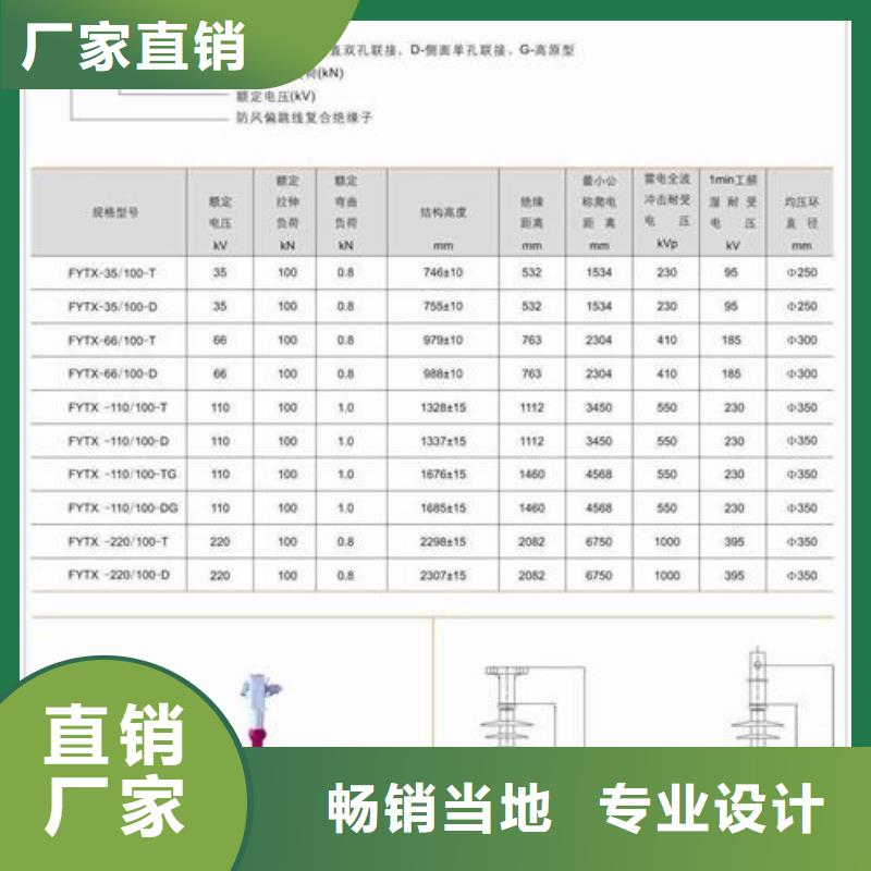 ZB-6T绝缘子