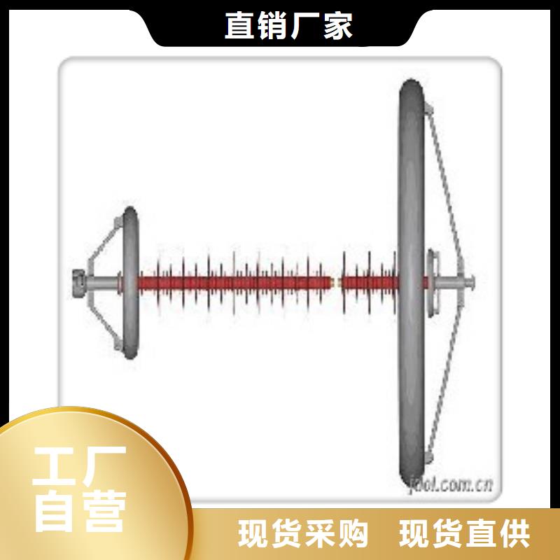 ZN-10Q/65*140环氧树脂绝缘子